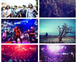 Success in the West!