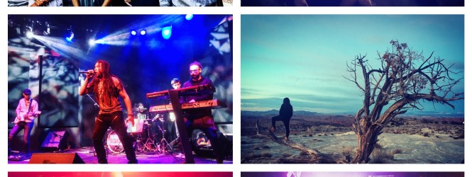 Success in the West!